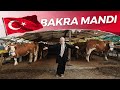 Bakra Mandi in Turkey 🇹🇷 | I Buy Cow from my Father