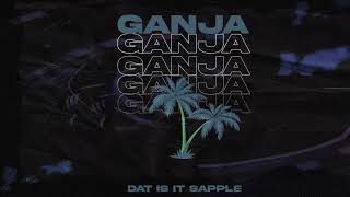 [SOLD]JAHVILLANI X WIZKID AFROSWING/DANCEHALL TYPE BEAT “GANJA” | 2022 INSTRUMENTAL