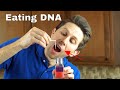 Is it Dangerous To Eat Pure DNA? Extracting and Eating Pure DNA