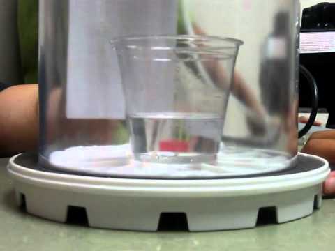 Water boiling in a vacuum!