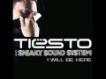 Dj Tiesto & Sneaky Sound System - I Will be here