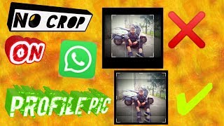 whatsapp full profile picture no crop screenshot 4