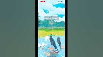 Mudkip evolution line part 2