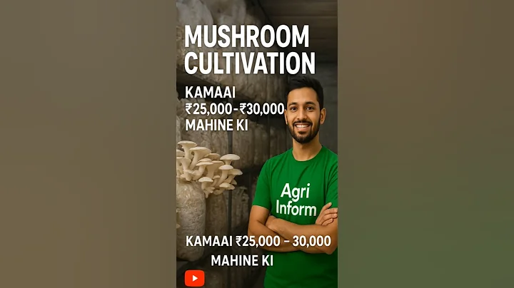 Mushroom Farming business 💰🍄। #mushroom #shorts #business
