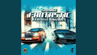 Fantastic (feat. fee Gonzales) - So Large