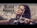 RATA BLANCA (Aún estás en mi sueños) 💿 en Violín eléctrico