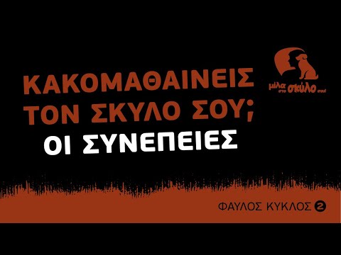 Βίντεο: Ποιες μπορεί να είναι οι συνέπειες ενός τσιμπήματος σε ένα σκυλί