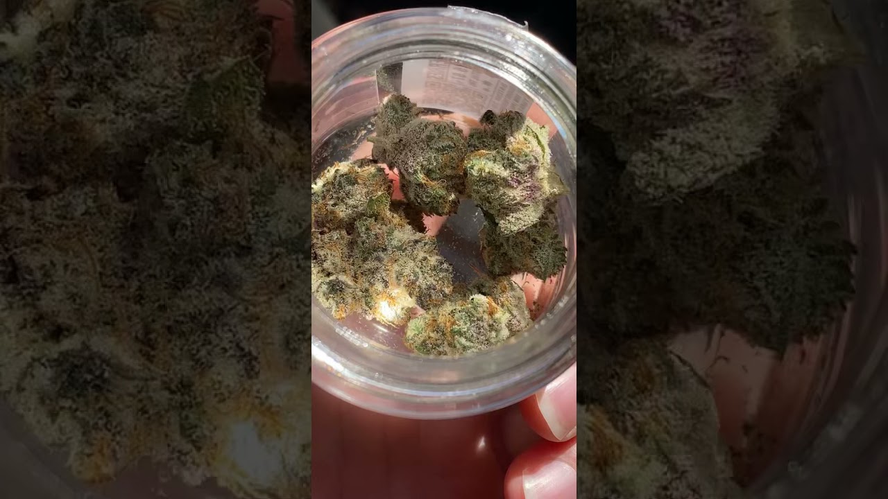 NGW(Next green wave)GMO cherries