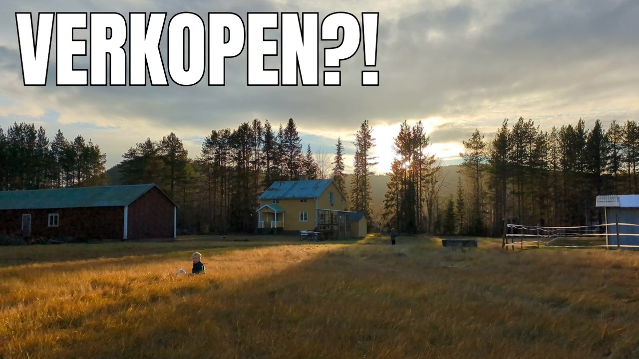 Dilemma, ons droomhuis in Noord-Zweden verkopen… of niet?