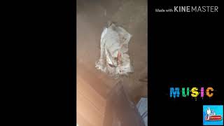 Virall!!  Temuan Benda Pusaka & Bisa Bikin Buat Rumah