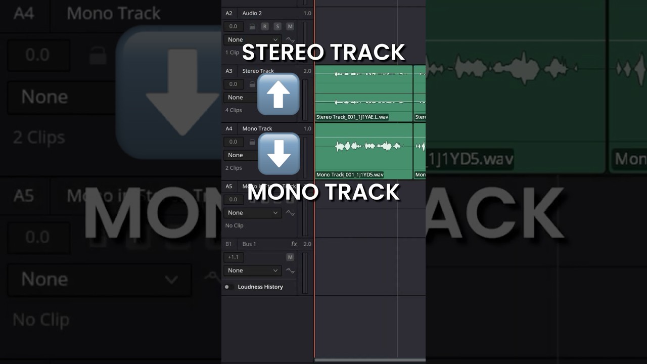 Mono vs. Stereo in DaVinci Resolve: Breaking the Audio Myth!