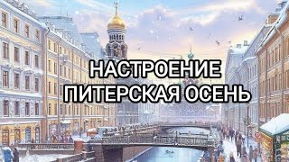 Наталья Закора в прямом эфире!