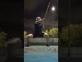 1 Básicos, Posturas, Stances - Choy Lay Fut, Kung Fu
