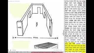 דף יומי מסכת סוכה דף יט Daf yomi Succa daf 19 שמואל נבון