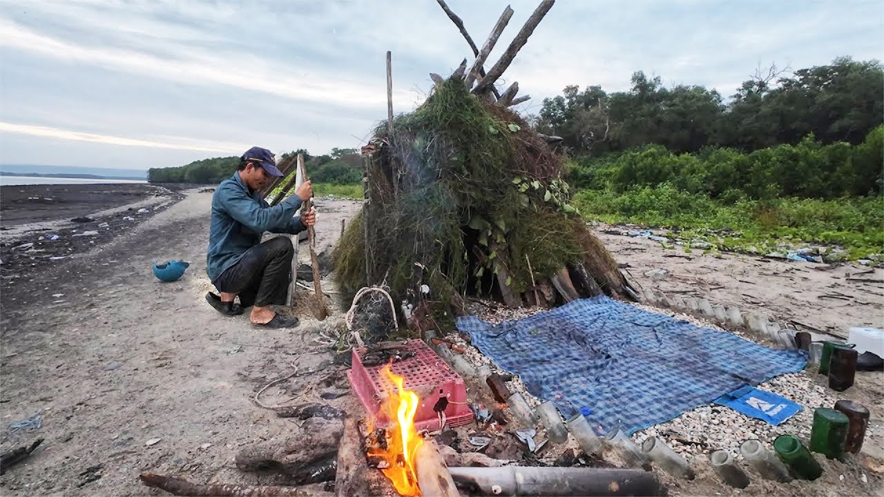 SOLO Survival on an Empty Beach | DIY Shelter With Driftwood Catch &Cooking!