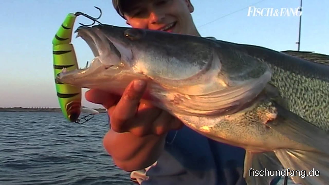 Der große Goitzschesee