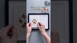 Comment “Paws” if you need this 🥺💔 #paws #cat #kitty #memory