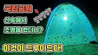 국립공원 해발900m 산속에서 수만마리의...[TV생물도감]