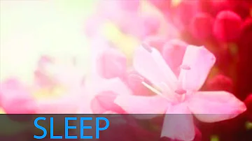 8 Hour Deep Sleep Music Inner Peace: Help Beat Insomnia, Delta Waves, Sleeping Music ☯160