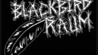 Blackbird Raum -  Snare chords