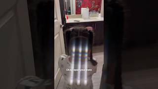 Daughter Reacts To Grinch Bathroom