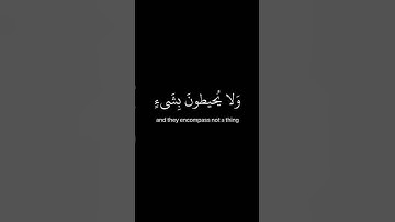 آية الكرسي |القارئ إسلام صبحي |شاشة سوداء |كروما قرآن