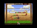 Game Over Crazy Birds PC 