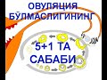 ОВУЛЯЦИЯ БЎЛМАСЛИГИНИНГ 5+1 ТА САБАБИ