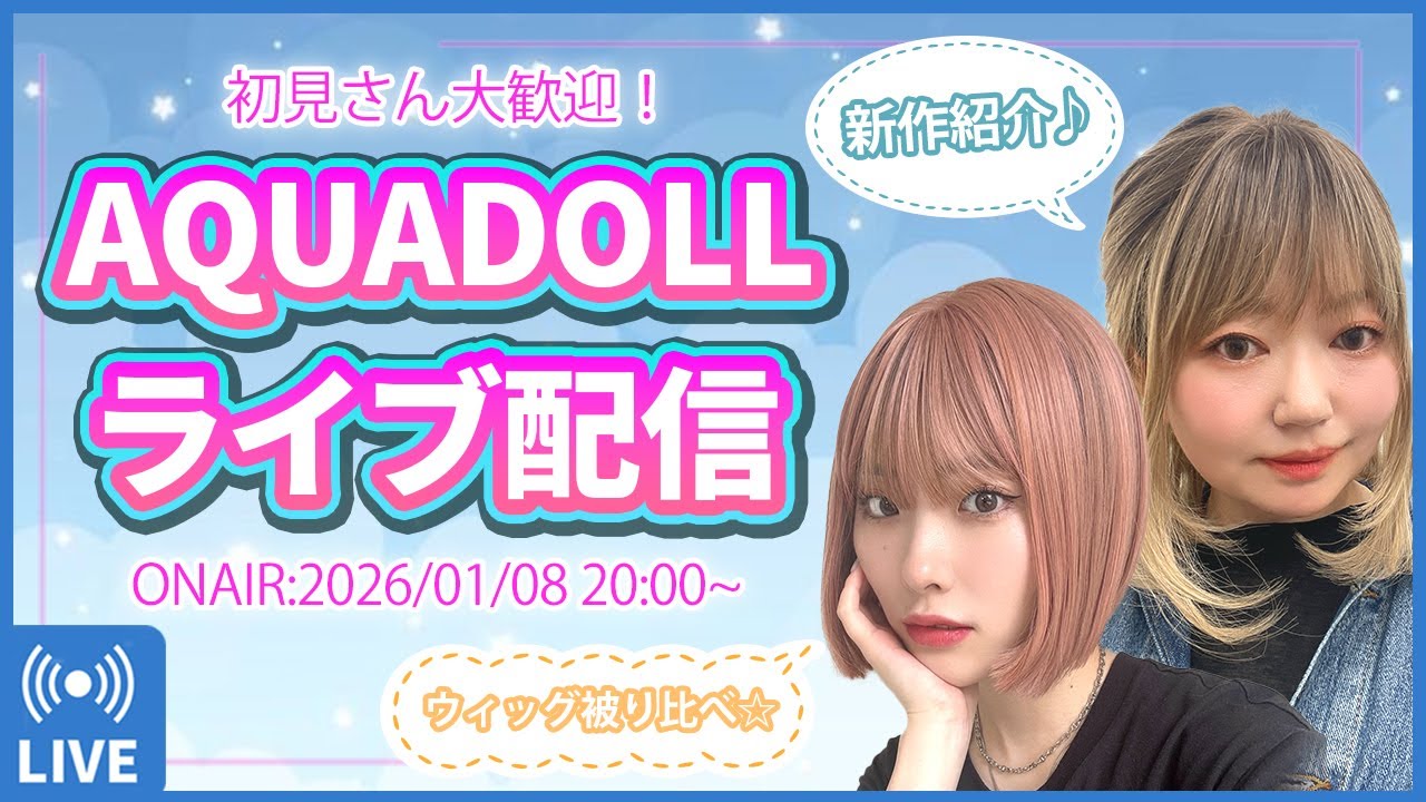 付け毛 ウイッグ どんな髪にもフィットします！値下げしました☆ e4b03107d6ddca1570d60bab51b9c1