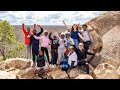 Wildlife orphanage in south africa  the great projects