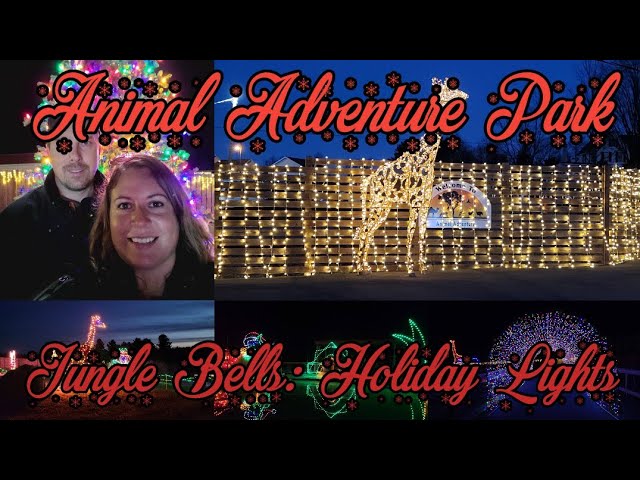 Animal Adventure Park - Jungle Bells: Holiday Lights Open Thursdays -  Sundays 5 pm - 10 pm
