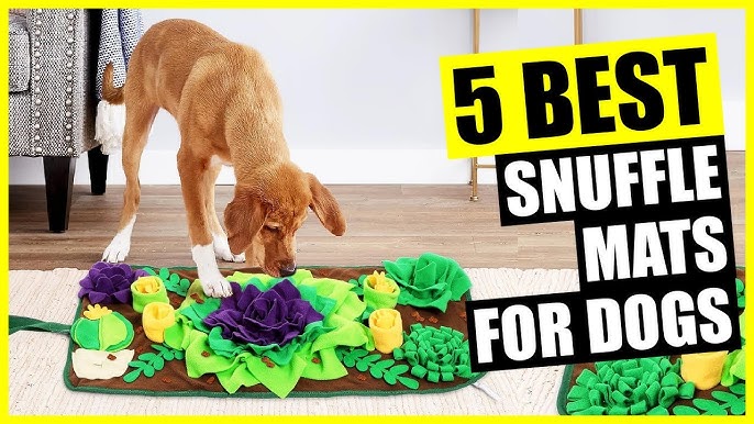TOMAHAUK Snuffle Mat for Dogs Interactive Feed Game/Dog Puzzle Toy That  Helps with Stress Relief