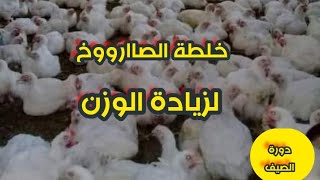 خلطة الصاارووخ لزيادة الوزن ومضاد حيوي طبيعي ورافع مناعه ومضاد سموم