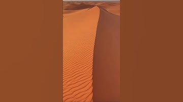 In Saudi Arabian Desert 🌵 🐪 🏜️