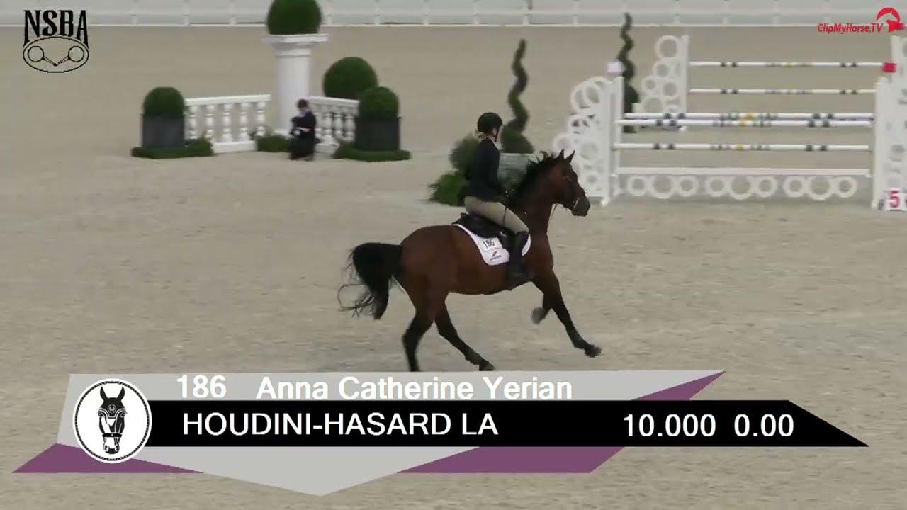Houdini - Medium Junior Jumpers - 2021