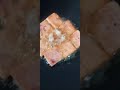 FRY LUNCHEON MEAT #asmr #sound #satisfying #luncheonmeat #youtubeshorts #food #shorts #breakfast