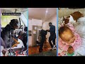 Black TikTok | Black Pet Parents Compilation