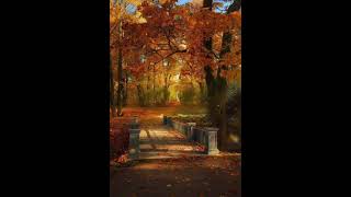 Download Lagu Merry morning I like chopin Performed By:Mr.undercover MP3 Download Lagu Merry morning I like chopin Performed By:Mr.undercover MP3