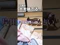 犬を保健所に捨てる元動画