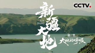 《新疆大地》01 大地的呼吸：塔克拉玛干沙漠玫瑰悄然绽放 共同聆听新疆大地的深沉呼吸【CCTV纪录】