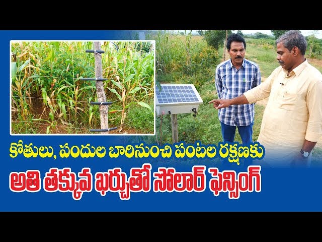 Low Cost Solar Fencing to Crop || Protect from Monkeys and Wild Boars || KVK - Medak || Rytunestham