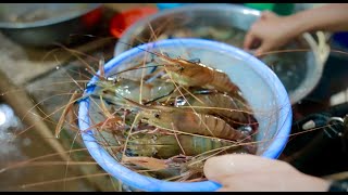 Creamy Coconut Shrimps stir fried - Yummy yummy - Simple Life Cooking