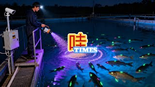 鹦鹉训练课堂 – Parrot Training Class – パロットトレーニングクラス 2025-11-25 19:30:51