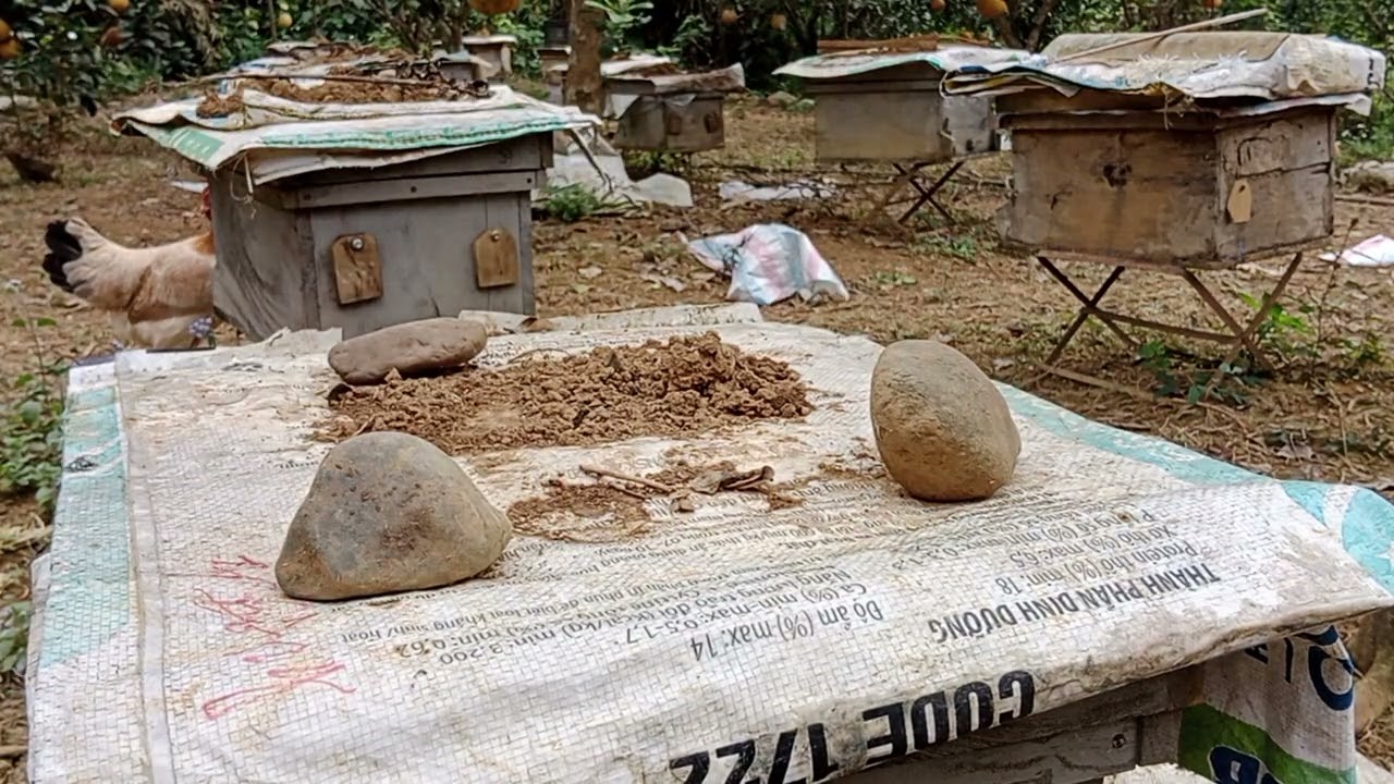 Lao cầu để làm gì 