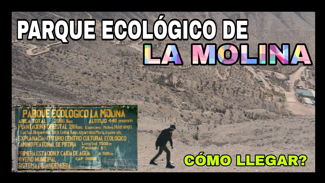 Como Llegar A La Molina En Tren