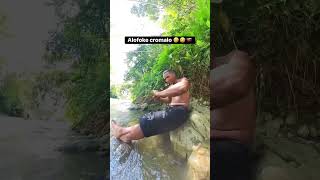 Alofoke cromalo 🤣🇻🇪 #rodnyflow #alofoke #venezuela #rd