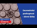 Geometrická posloupnost - slovní úlohy | 11/22 Posloupnosti | Matematika | Onlineschool.cz