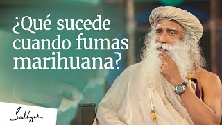 ¿Qué sucede cuando fumas marihuana? │Sadhguru