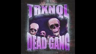 TRXNQL - DEAD GANG