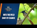 DD Morning Show | Into The Wild | Shot By Chance | 22nd May 2024